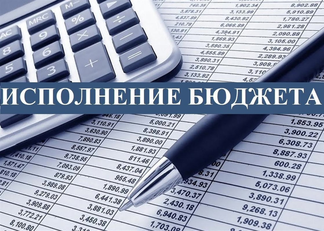 О назначении публичных слушаний по проекту решения Вахрушевской городской Думы «Об утверждении отчета по исполнению бюджета  Вахрушевского городского поселения за 2024 год».
